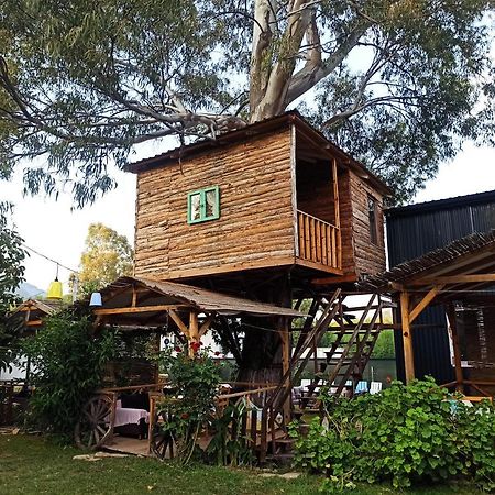 Daidala Life Bed & Breakfast Gocek  Exterior photo