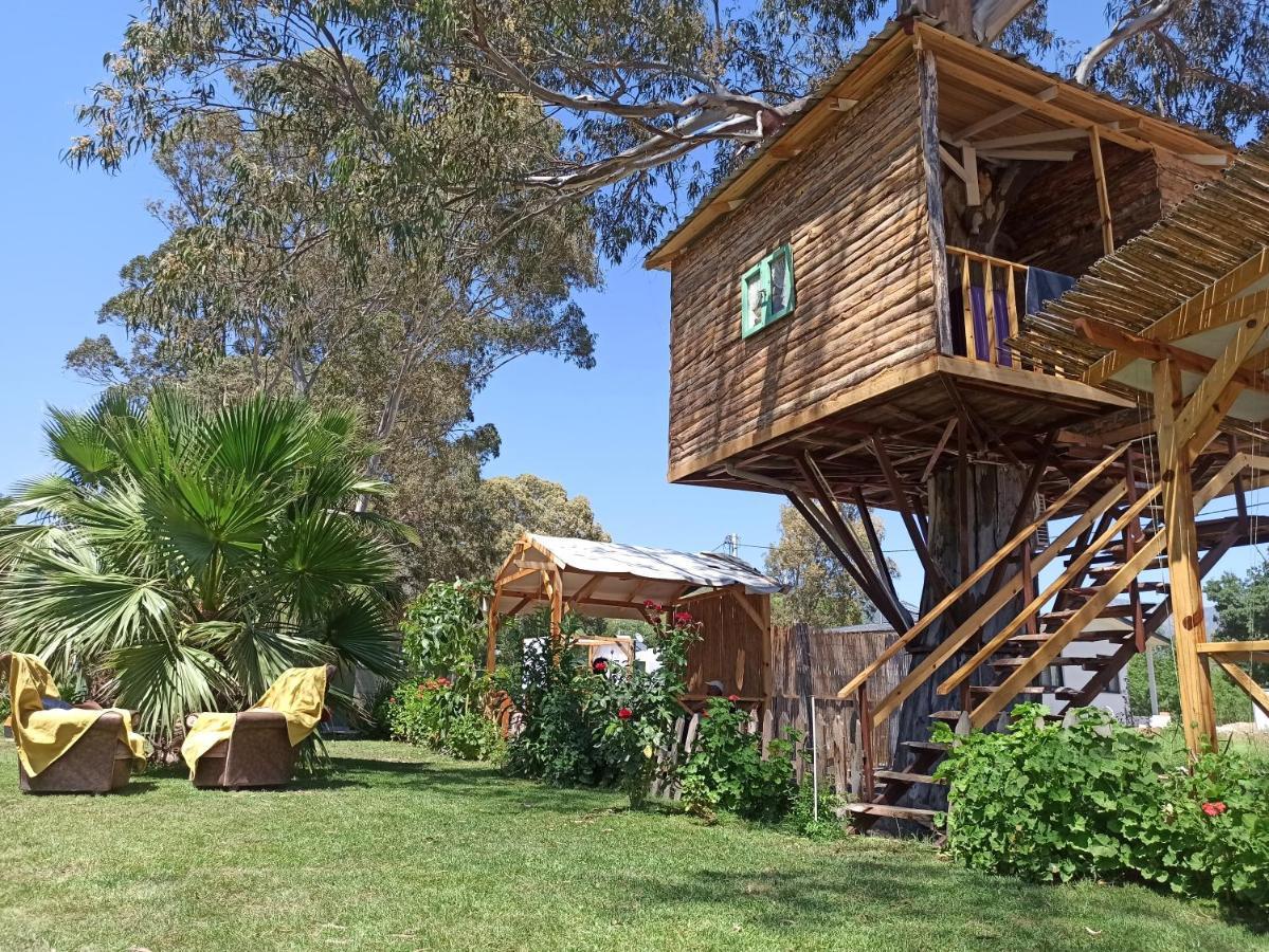 Daidala Life Bed & Breakfast Gocek  Exterior photo